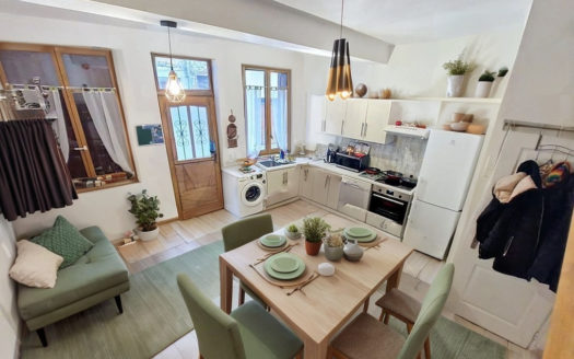 Maison Saint Galmier 4 pièce(s) 80 m2